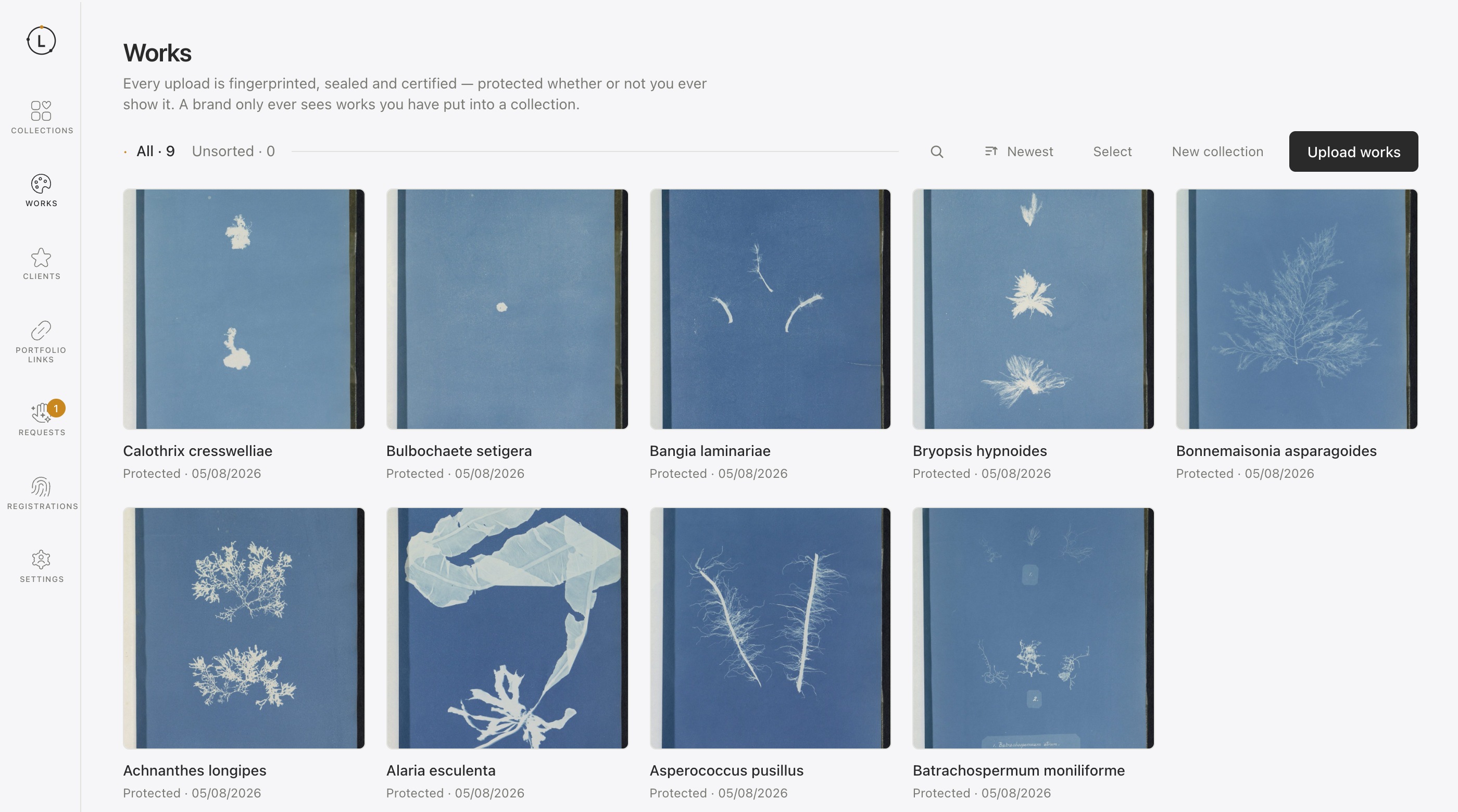 Works: every upload fingerprinted and sealed on arrival